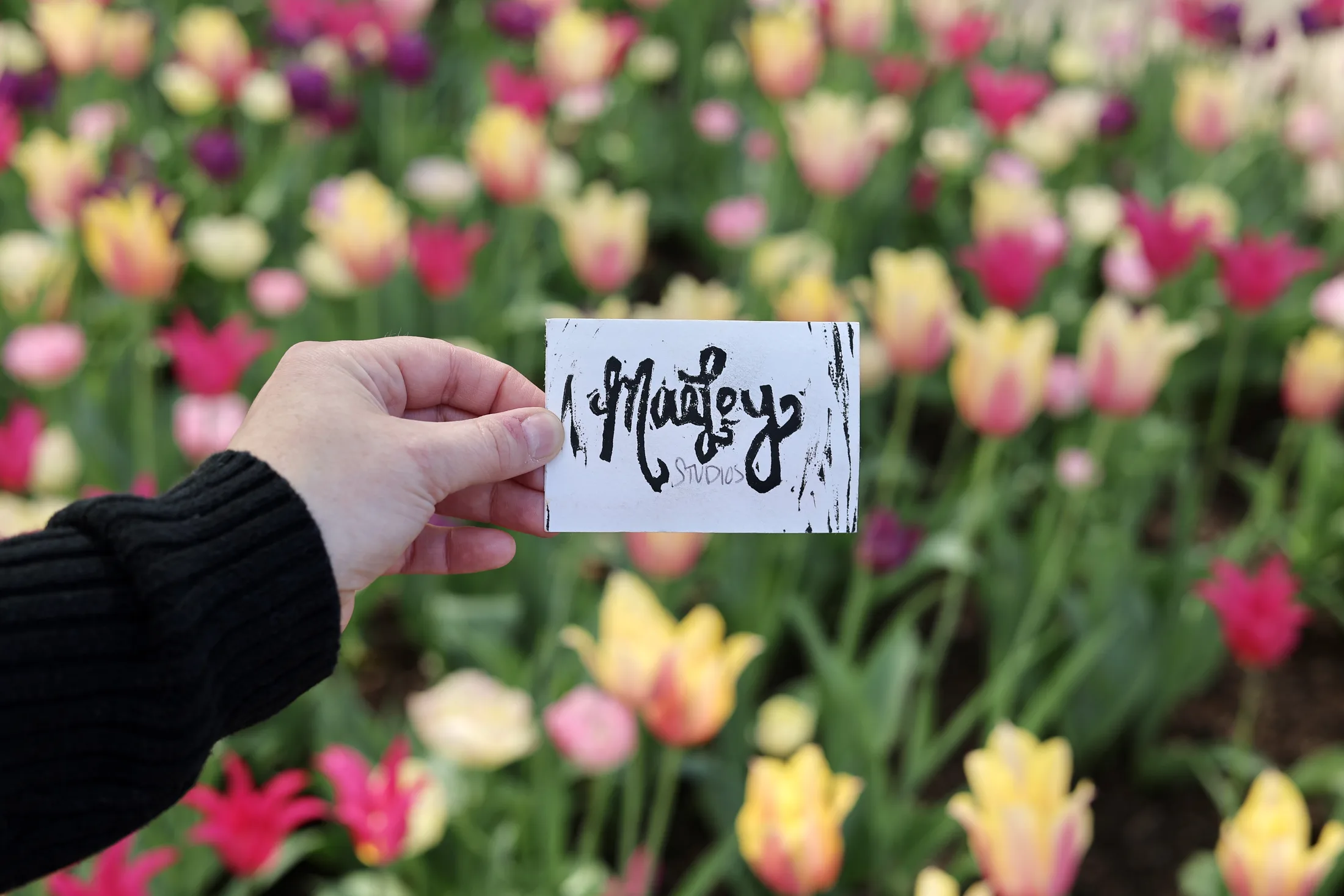 Maitely Studios card held in front of tulips at the Reclaim 13 event