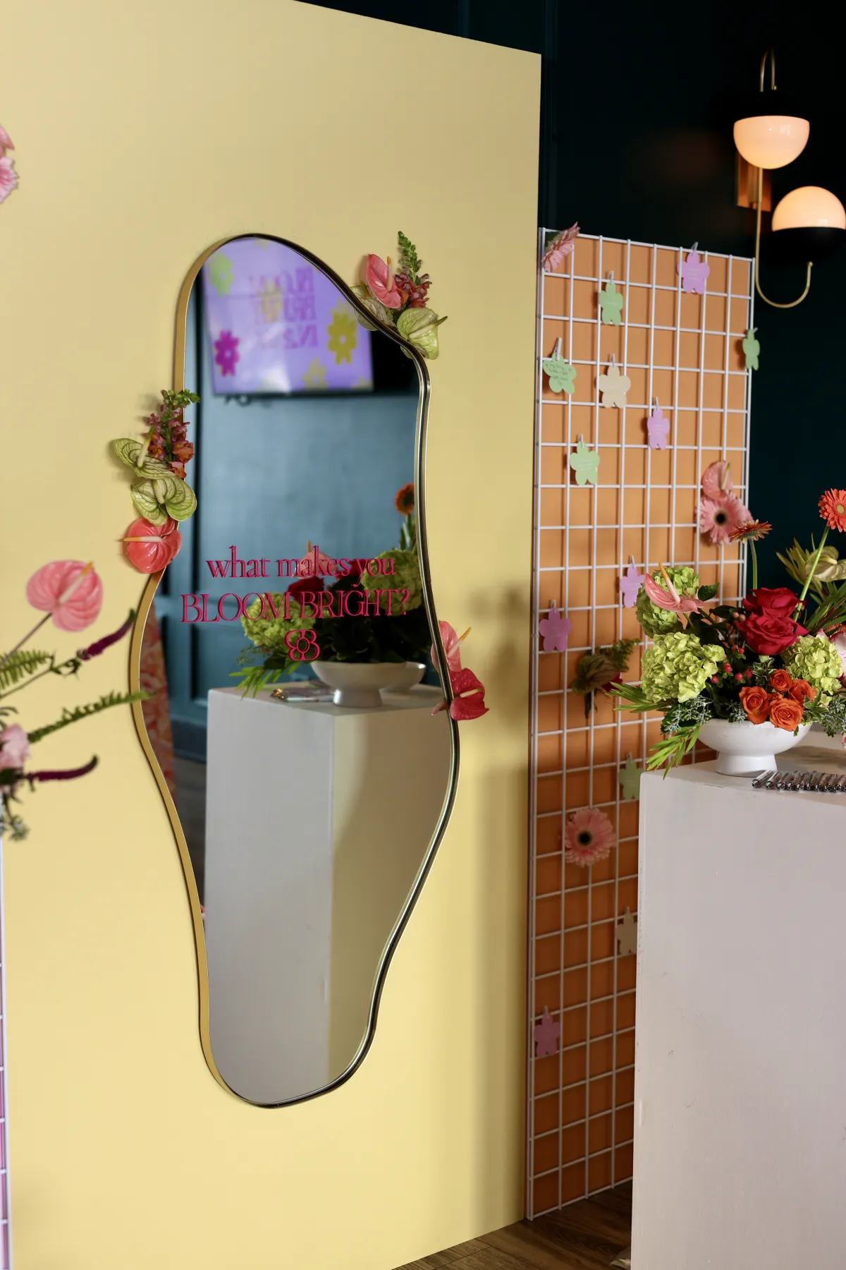 Photography sequence 0-5